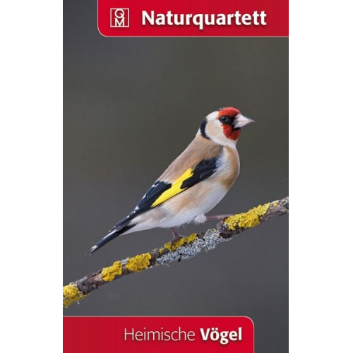 Heimische Vögel (Kartenspiel)