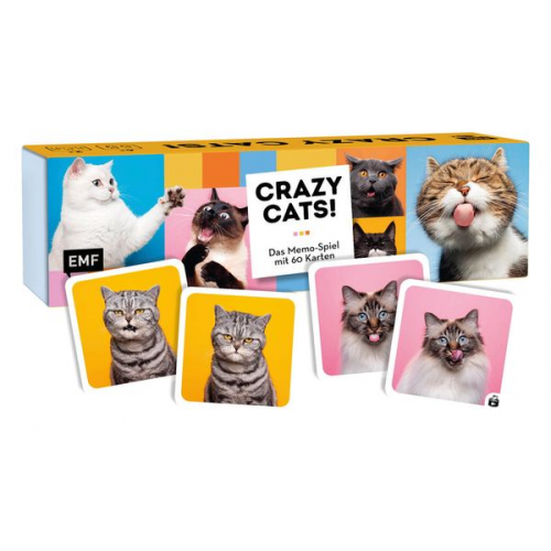 Memo-Spiel: Crazy cats!