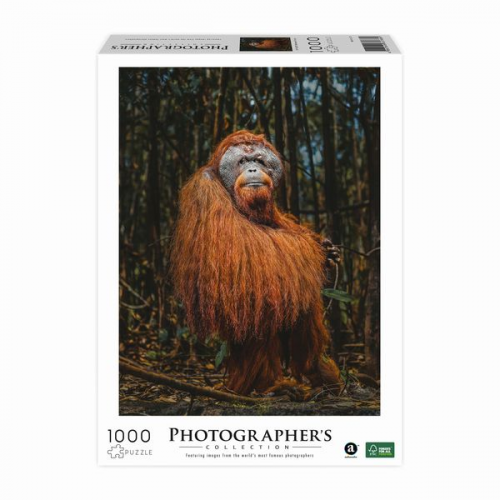 Ambassador - Orang-Utan, Donal Boyd, 1000 Teile