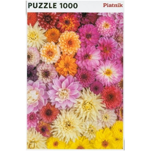 Dahlien (Puzzle)