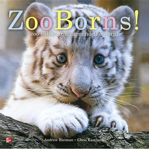 McGraw Hill - Reading Wonders Literature Big Book: Zoo Borns! Grade K