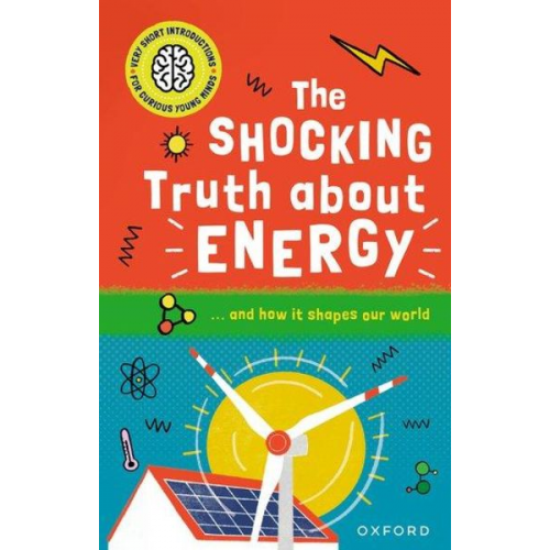 Mike Goldsmith - Very Short Introductions for Curious Young Minds: The Shocking Truth about Energy