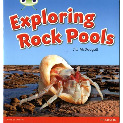 Jill McDougall - Bug Club Guided Non Fiction Year 1 Green C Exploring Rock Pools