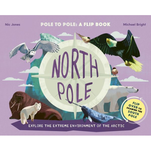 Michael Bright - North Pole / South Pole