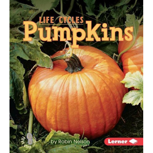 Robin Nelson - Pumpkins