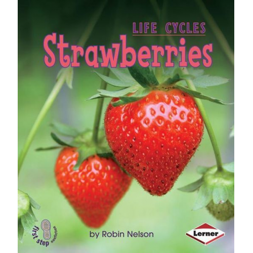 Robin Nelson - Strawberries