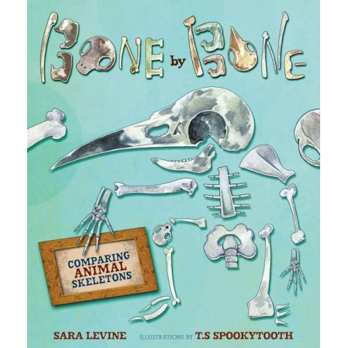 Sara Levine - Bone by Bone