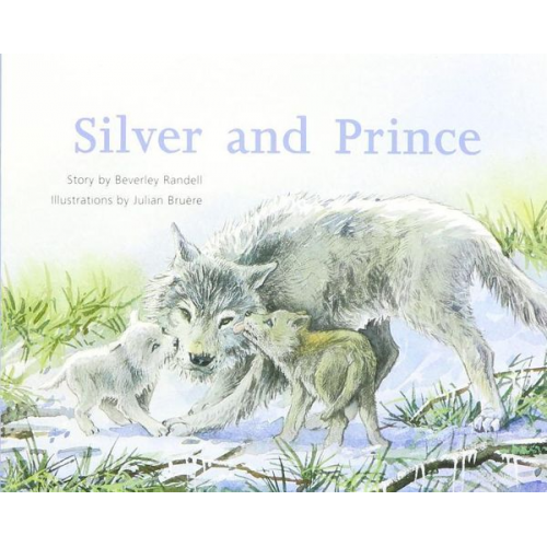 Rigby - Silver and Prince