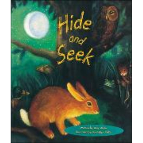 Amy Algie - Storyteller Lap Books, Hide and Seek