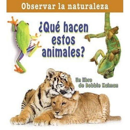 Bobbie Kalman - ¿Qué Hacen Estos Animales? (What Are These Animals Doing?)