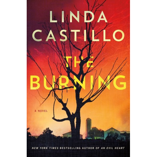 Linda Castillo - The Burning