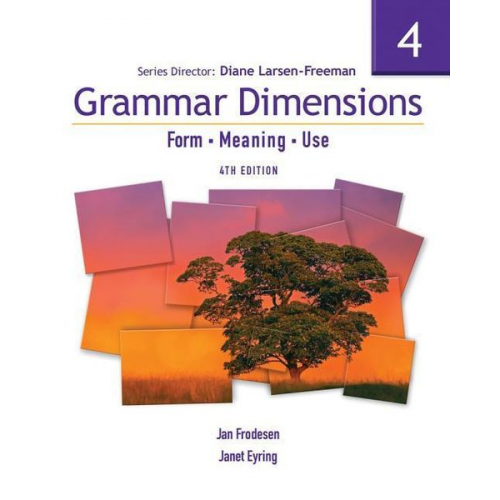 Diane Larsen-Freeman - Grammar Dimensions 4