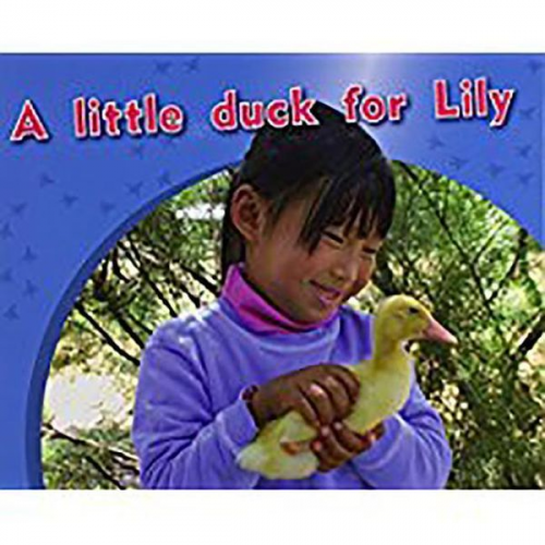 Smith - A Little Duck for Lily