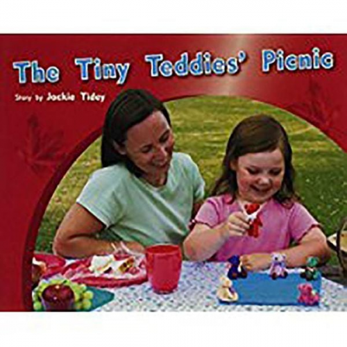 Tidey - The Tiny Teddies' Picnic