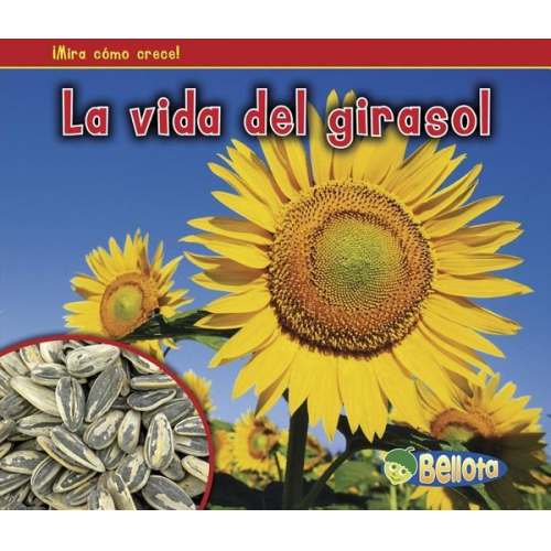 Nancy Dickmann - La Vida del Girasol