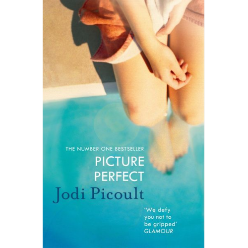 Jodi Picoult - Picture Perfect