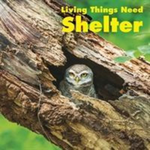 Karen Aleo - Living Things Need Shelter