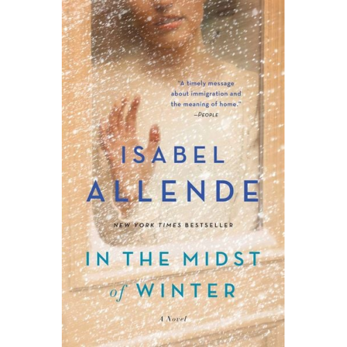 Isabel Allende - In the Midst of Winter