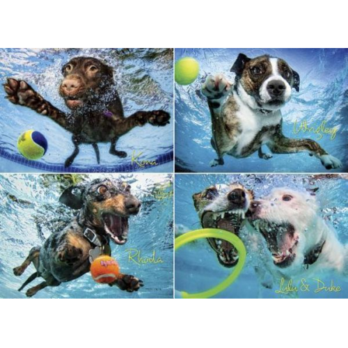 Underwater Dogs 2 1000-Piece Puzzle