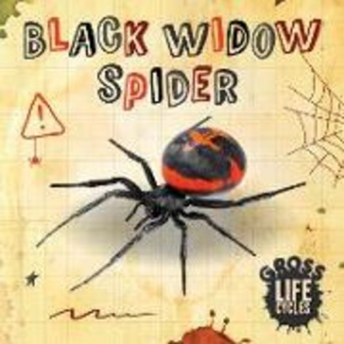 William Anthony - Black Widow Spider