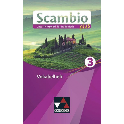 Martin Stenzenberger - Scambio plus 3 Vokabelheft