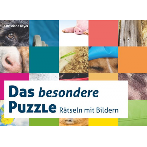 Das besondere Puzzle (Spiel)