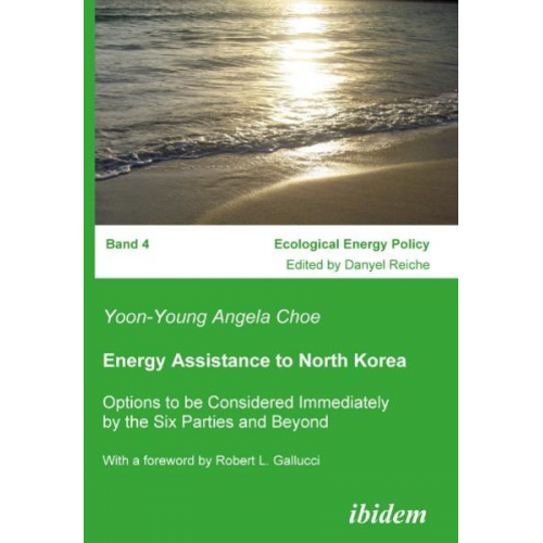 Yoon-Young Angela Choe - Energy Assistance to North Korea