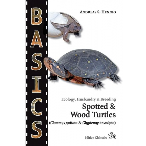 Andreas S. Hennig - Spotted Turtle and North American Wood Turtle