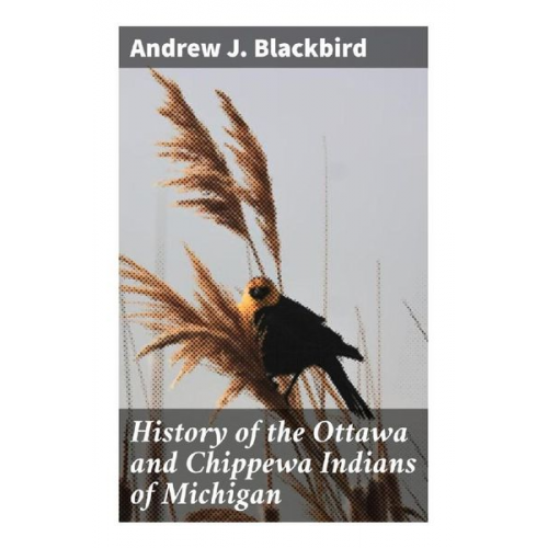 Andrew J. Blackbird - History of the Ottawa and Chippewa Indians of Michigan