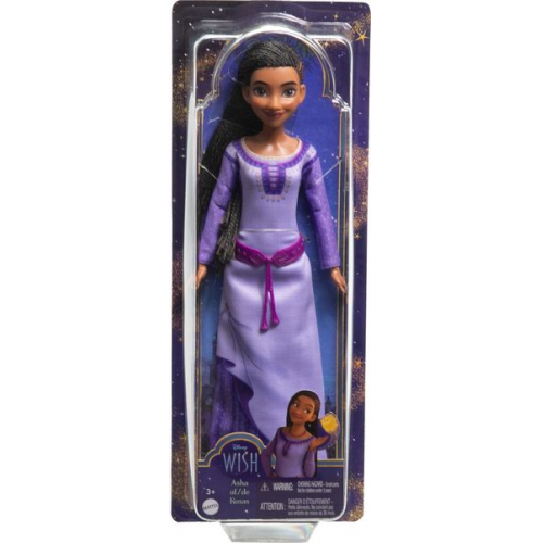 Mattel - Disney Wish - Asha von Rosas