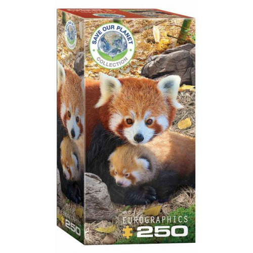 Eurographics 8251-5557 - Rote Pandas , Puzzle, 250 Teile