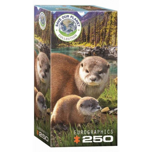 Eurographics 8251-5558 - Otter, Puzzle 250 Teile