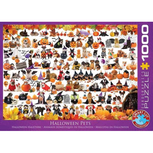 Eurographics 6000-5416 - Halloween Welpen und Kätzchen , Puzzle, 1.000 Teile