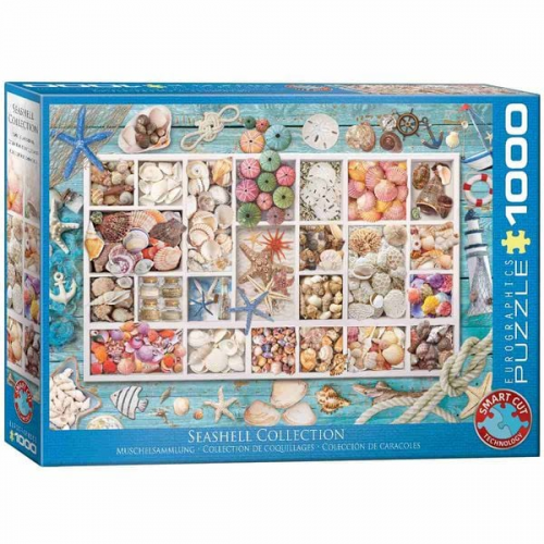 Eurographics 6000-5529 - Muschelsammlung, Puzzle, 1.000 Teile