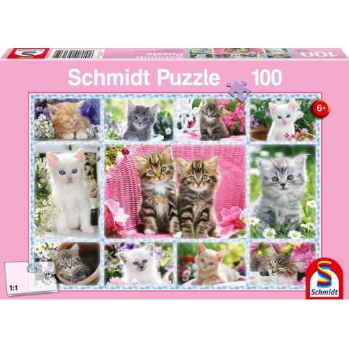 Puzzle Schmidt Spiele Puzzle Katzenbabys 100 Teile