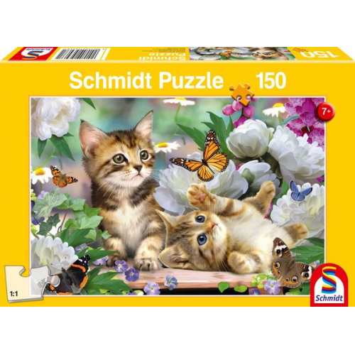 Schmidt Spiele - Verspielte Katzenbabys, 150 Teile