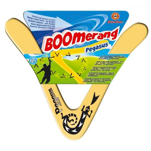 Günther Flugmodelle - Pegasus Boomerang