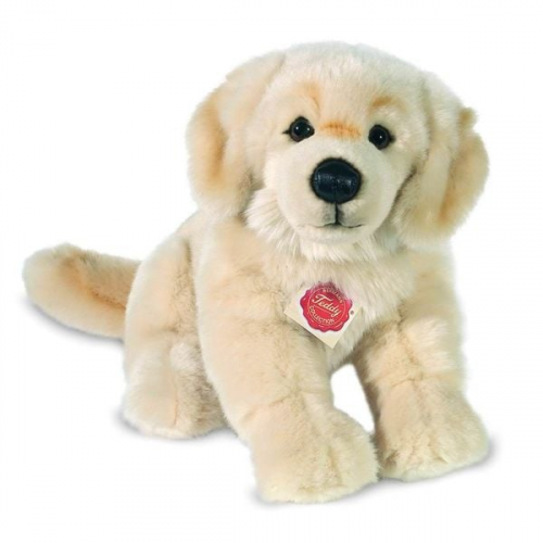 Golden Retriever, sitzend, 30 cm