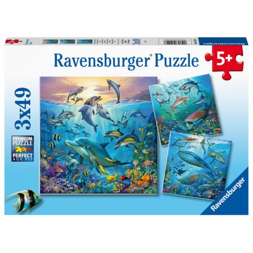 Puzzle Ravensburger Tierwelt des Ozeans 3 X 49 Teile