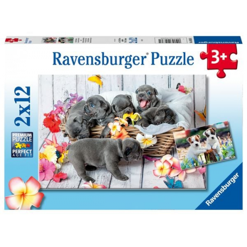 Puzzle Ravensburger Kleine Fellknäuel 2 X 12 Teile