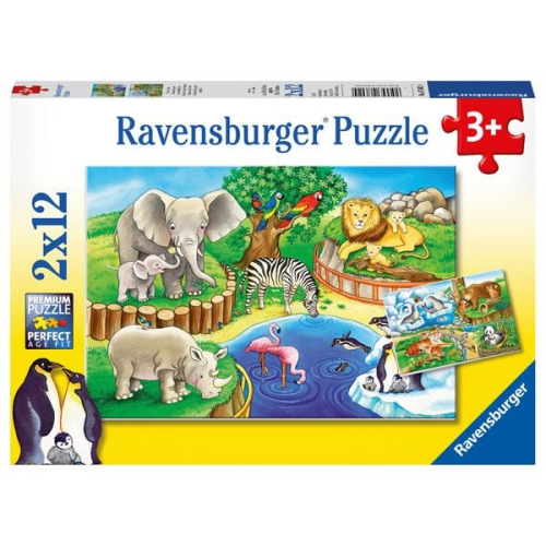 Puzzle Ravensburger Tiere im Zoo 2 X 12 Teile