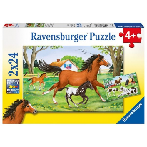 Puzzle Ravensburger Welt der Pferde 2 X 24 Teile