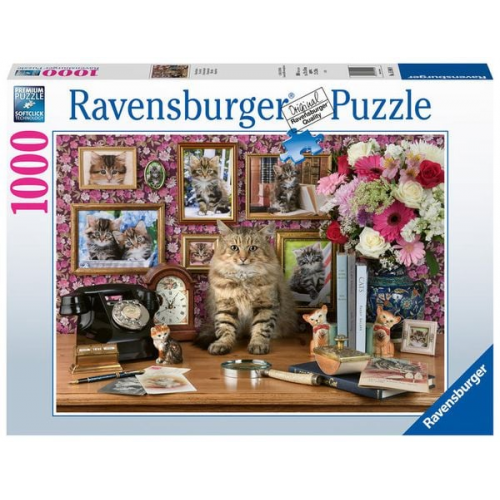 Puzzle Ravensburger Meine Kätzchen 1000 Teile