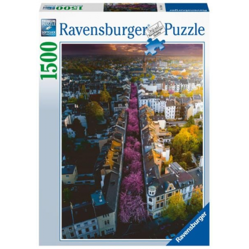 Puzzle Ravensburger Blühendes Bonn 1500 Teile