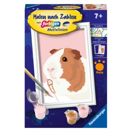 Ravensburger 23758 - Niedliches Meerschweinchen