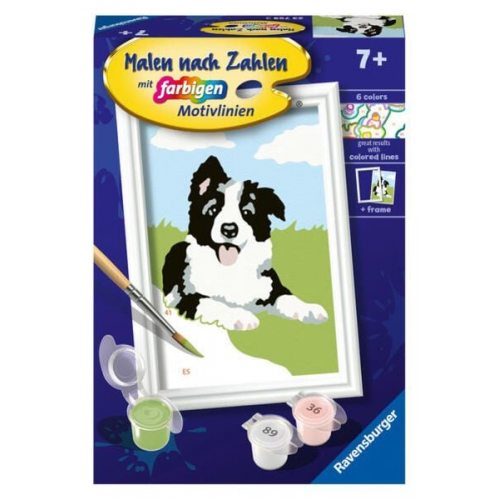 Ravensburger 23759 - Border Collie Welpe