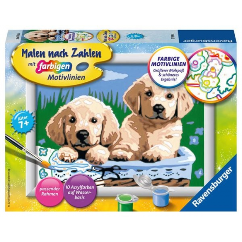 Ravensburger Malen nach Zahlen, Süße Hundewelpen