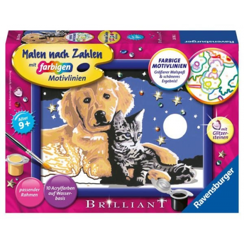 Ravensburger Malen nach Zahlen, funkelnder Sternenhimmel