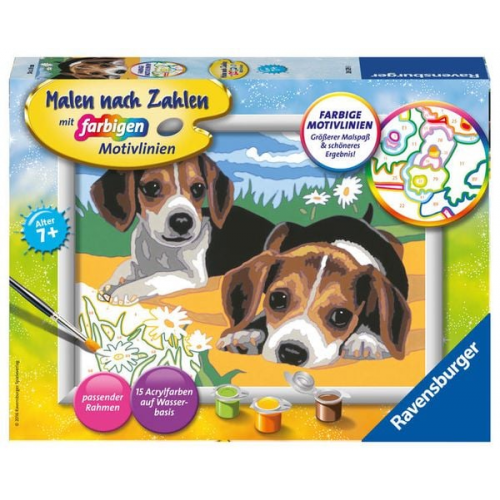 Ravensburger Malen nach Zahlen, Jack Russel Welpen, Malset