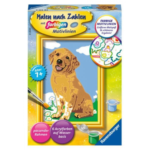 Ravensburger - Malen nach Zahlen - Kleiner Golden Retriever